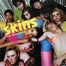 skins在线观看,跟随Skins在线观看，揭秘青春成长的多元面貌  第2张