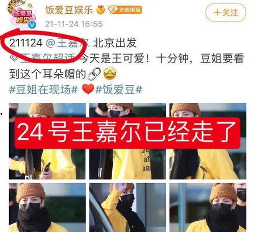 可燃点爆料视频在线观看,独家视频带你领略火焰的奥秘  第3张
