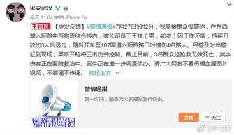 武汉最新事件爆料,揭秘背后真相与影响  第3张