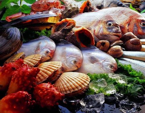 海鲜爆料海鲜视频教程,跟随视频教程轻松掌握海鲜美味