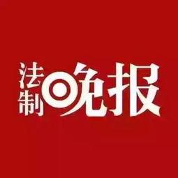 秀山网新闻爆料,揭秘当地重大事件背后真相  第3张