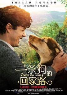 狗狗影视在线观看,在线观看，欢乐无限