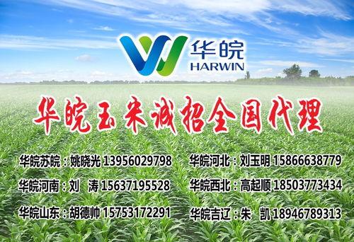 隆平高科最新爆料电话号,电话号码揭秘行业新动态  第2张