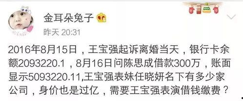 马蓉爆料洗白自己视频,揭秘背后不为人知的辛酸历程  第3张