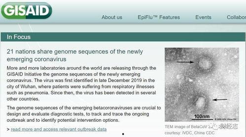 全球病毒最新爆料新闻  第2张