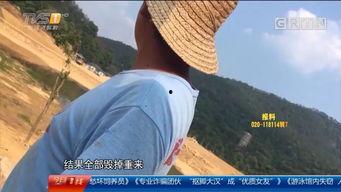 河源今日一线爆料,揭秘背后惊人真相  第3张