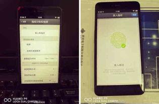 老罗爆料苹果视频下载安装,老罗深度解析苹果技术新突破  第3张