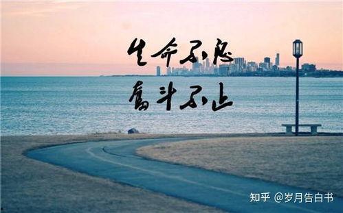 娱乐吃瓜酱厉志奋斗,娱乐吃瓜酱的逆袭之路  第3张